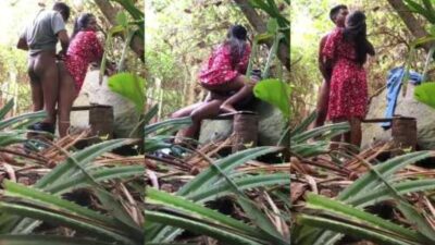 Free sex mms Desi Mallu Couple Sex in Jungle Part 4